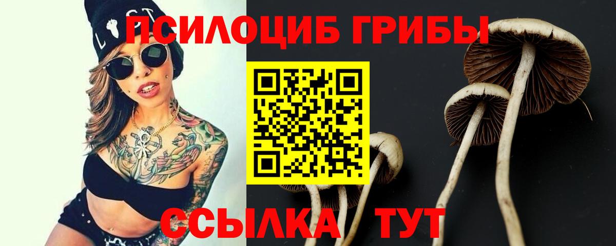 Галлюциногенные грибы Cubensis  Вход с VPN  Урай 